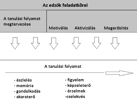 Az utánpótlásképzés középpontja az egyén tanulási folyamata. Az edző tervezi meg, tartja fenn, ellenőrzi, valamint értékeli ezt a folyamatot, azonban ezek, mint támogató feladatkörök jelennek meg, a középpontban minden esetben a játékos áll.