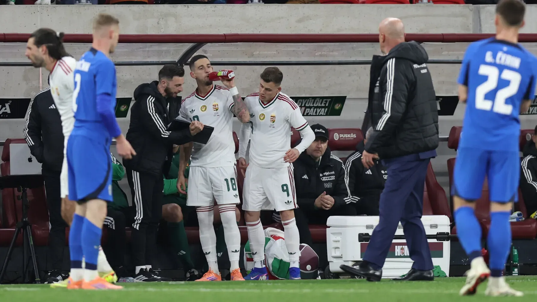 Schön Szabolcs remek csere volt, pályára lépése után két perccel szerezte a győztes gólt (Forrás: mlsz.hu)