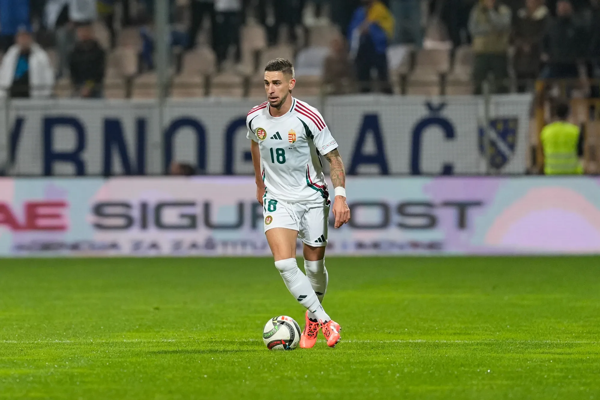 Nagy Zsolt zenica.jpg