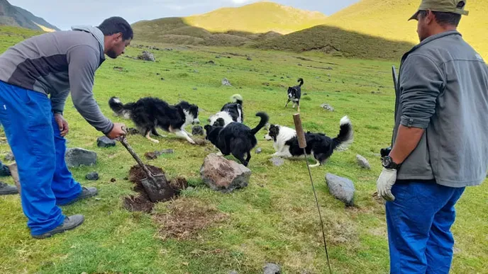 rr-2021-ratting-dispatching.jpg 16:9