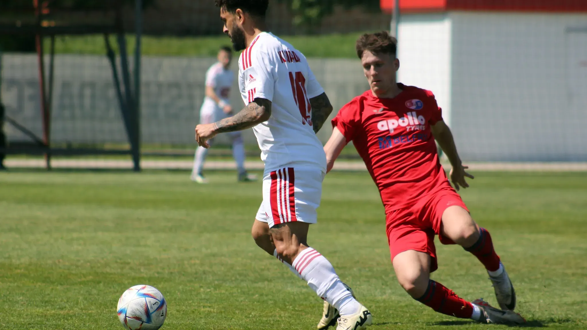 Wellington Nem.jpg 16:9